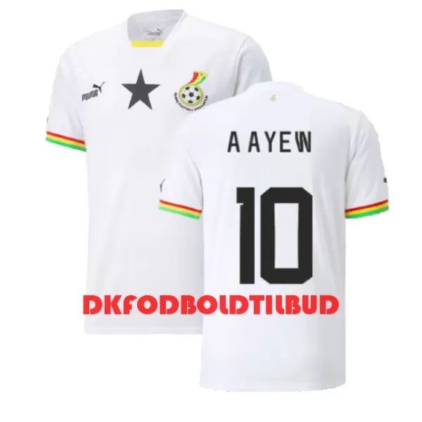 Ghana Andre Ayew 10 Fodboldtrøje Herre Hjemmebane VM 2022