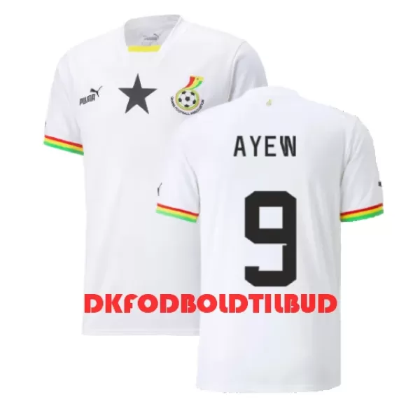 Ghana Ayew 9 Fodboldtrøje Herre Hjemmebane Jordan VM 2022