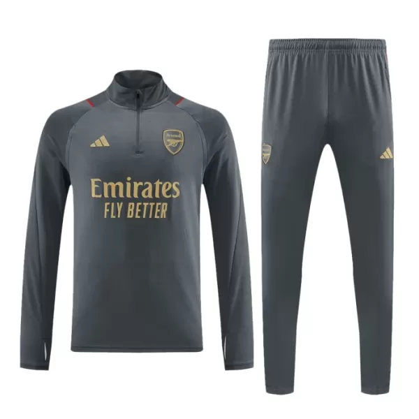 Arsenal Trænings sweatshirt sæt Herre 23/24 Grå